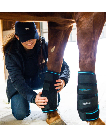 Guêtres Ice-Vibe - Horseware