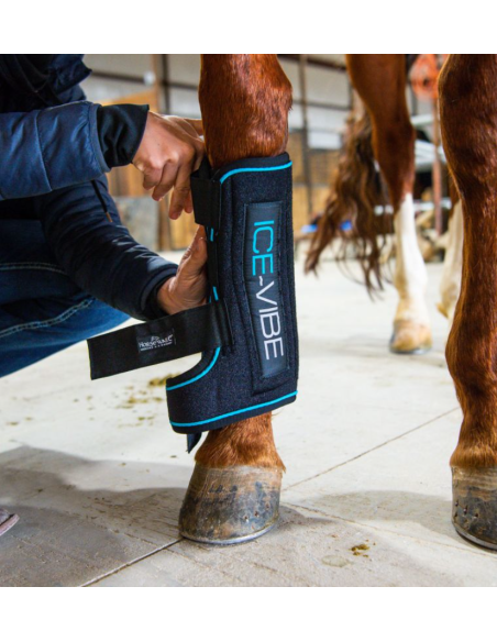 Guêtres Ice-Vibe - Horseware