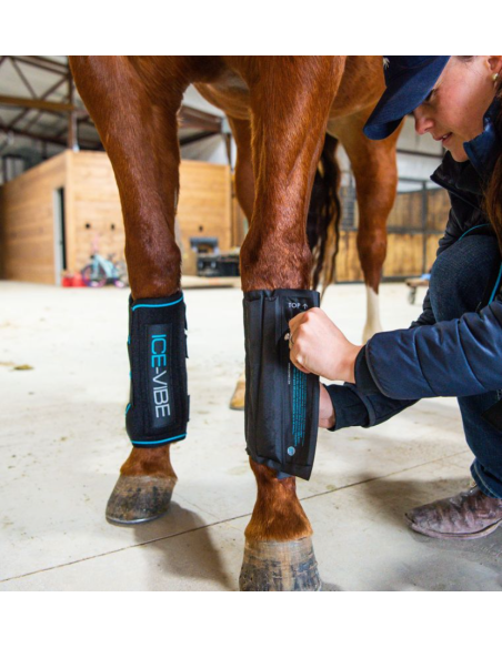 Guêtres Ice-Vibe - Horseware