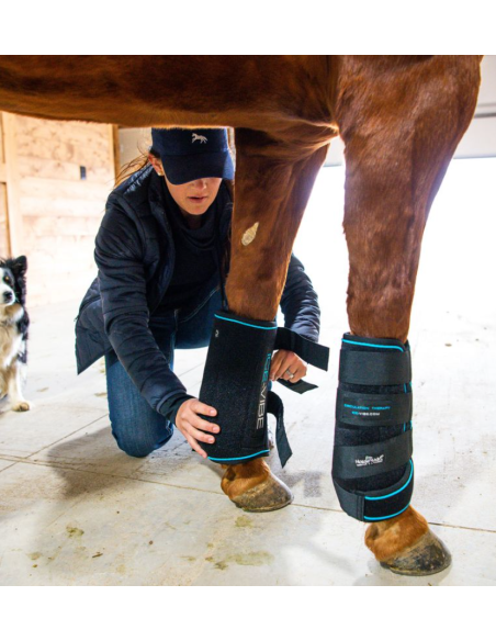 Guêtres Ice-Vibe - Horseware