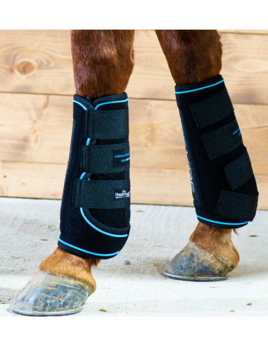 Guêtres Ice-Vibe - Horseware