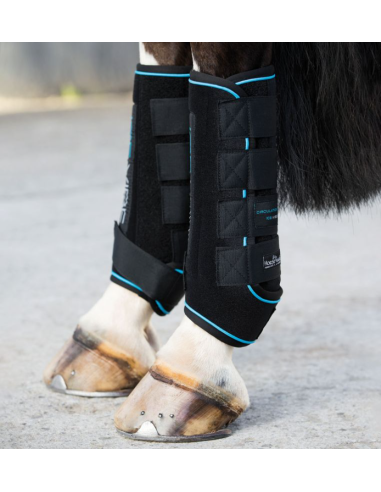 Guêtres Ice-Vibe - Horseware