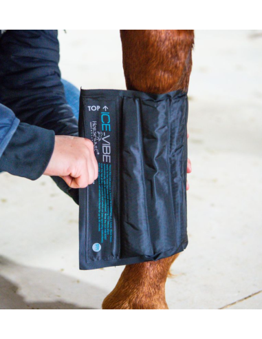 Pack de refroidissement Ice-Vibe - Horseware