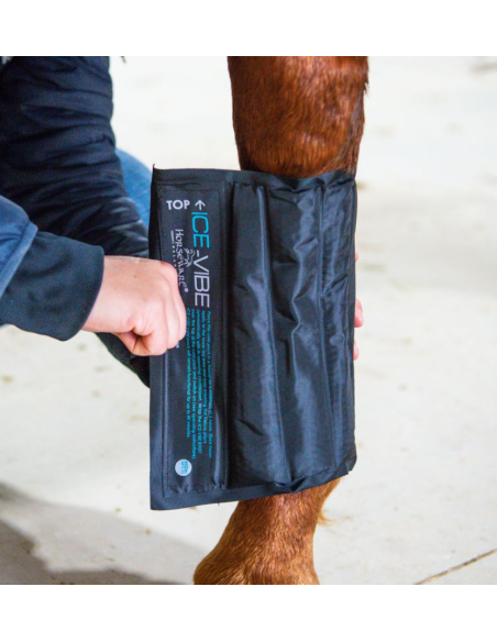Pack de refroidissement Ice-Vibe - Horseware