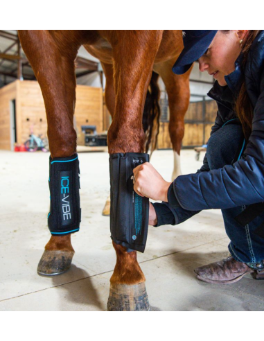 Pack de refroidissement Ice-Vibe - Horseware