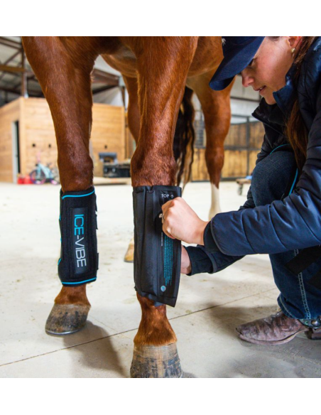 Pack de refroidissement Ice-Vibe - Horseware