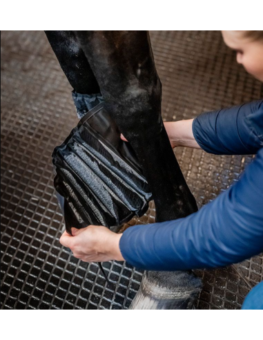 Pack de refroidissement Ice-Vibe - Horseware