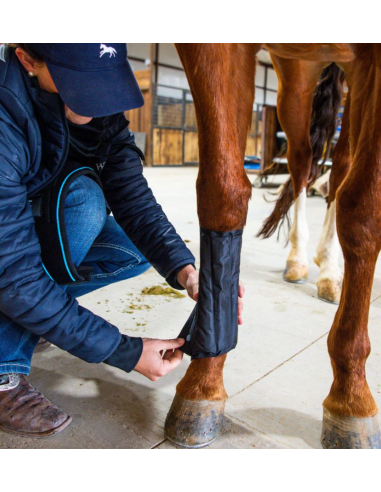 Pack de refroidissement Ice-Vibe - Horseware