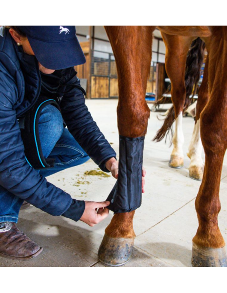 Pack de refroidissement Ice-Vibe - Horseware