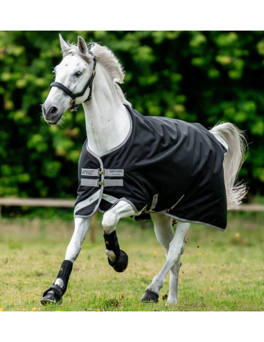 Amigo 1200D Turnout 250g - Horseware
