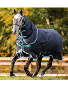 Amigo 1200D Plus Turnout 250g - Horseware 2
