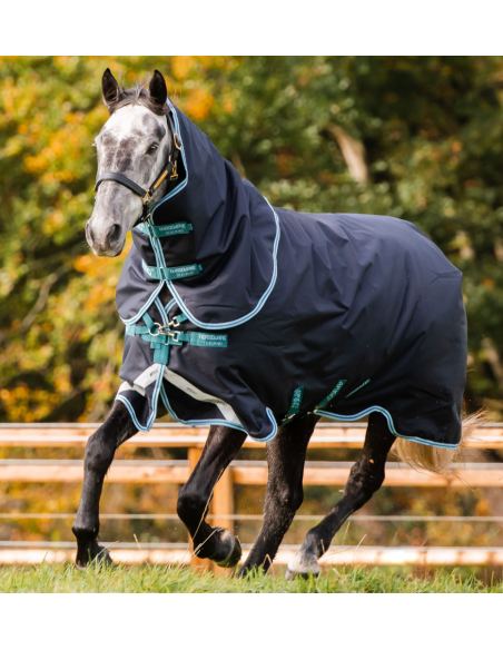 Amigo 1200D Plus Turnout 250g - Horseware