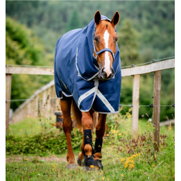 Amigo 1200D Plus Turnout 250g - Horseware
