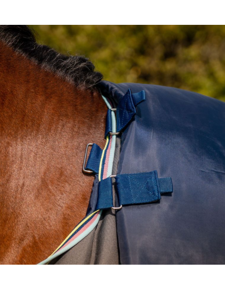 Amigo 1200D Plus Turnout 250g - Horseware