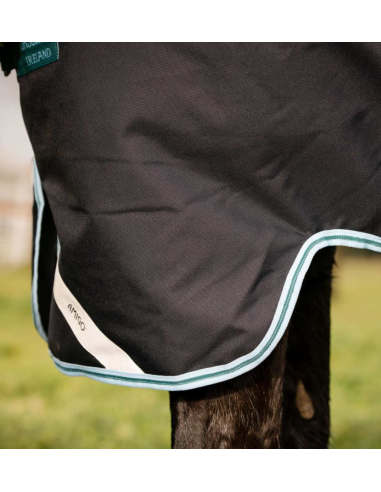 Amigo 1200D Plus Turnout 250g - Horseware