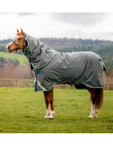 Amigo 1200D Plus Turnout 400g - Horseware