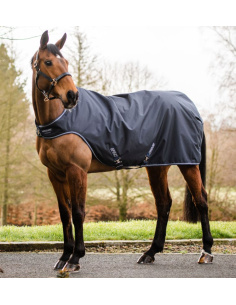 Couverture de Marcheur Amigo - Horseware 2