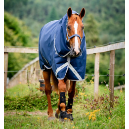 Amigo 1200D Plus Turnout 100g - Horseware