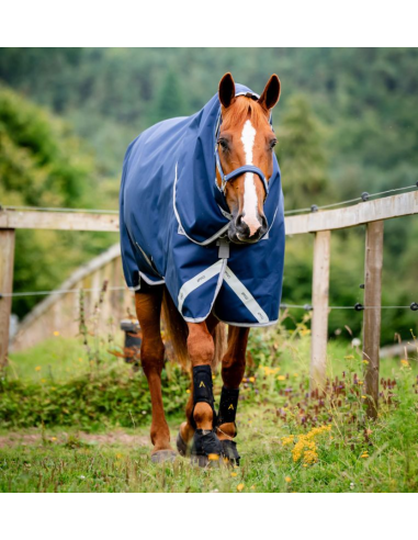 Amigo 1200D Plus Turnout 100g - Horseware