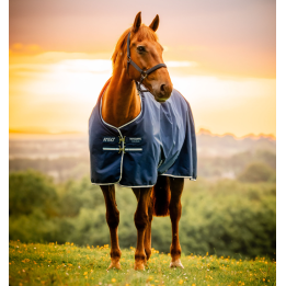Amigo Ripstop 900D Turnout 0g - Horseware
