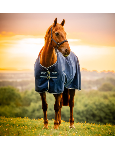 Amigo Ripstop 900D Turnout 0g - Horseware