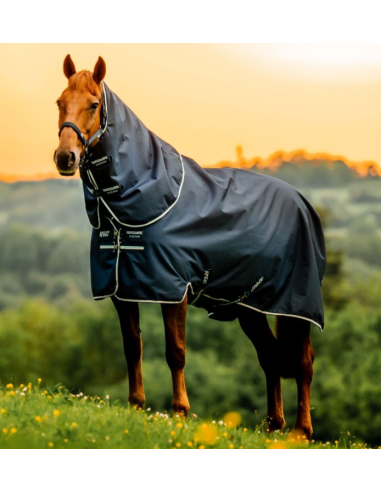 Amigo Ripstop 900D Plus Turnout 0g - Horseware