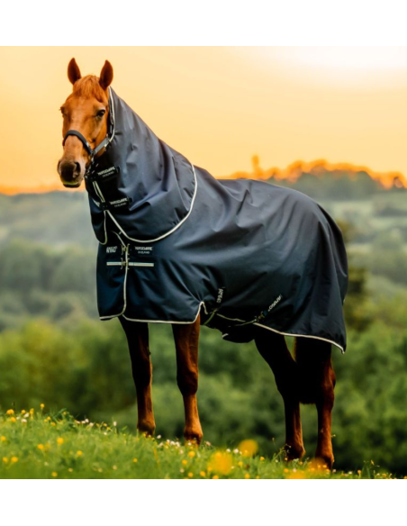 Amigo Ripstop 900D Plus Turnout 0g - Horseware