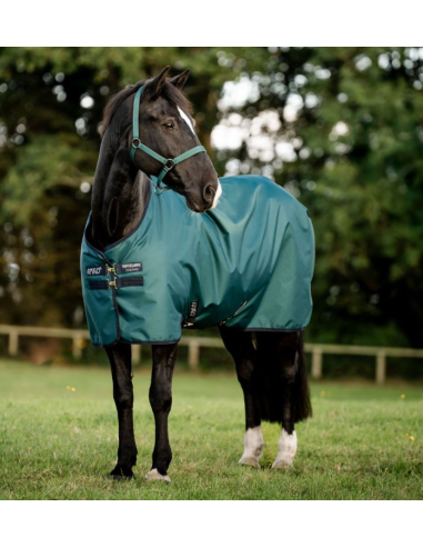 Amigo Ripstop 900D Pony Turnout 0g - Horseware