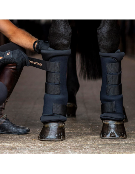 Stable Boots Royal - Back on Track