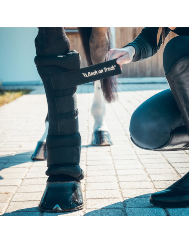 Stable Boots Royal - Back on Track