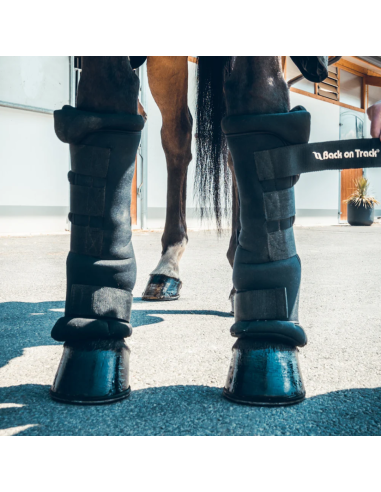 Stable Boots Royal - Back on Track