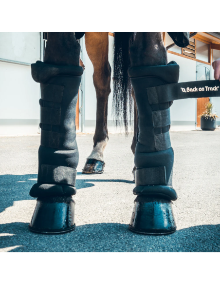 Stable Boots Royal - Back on Track