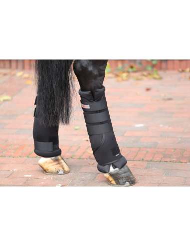 Guêtres d'écurie et de transport - Covalliero