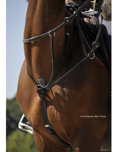 Martingale C-Cure à Anneaux - IHWT