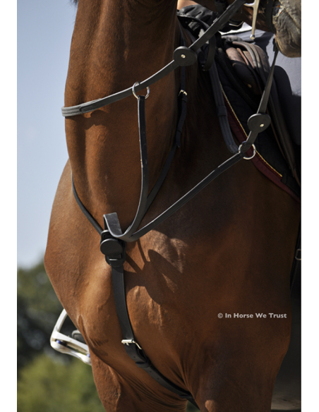 Martingale C-Cure à Anneaux - IHWT