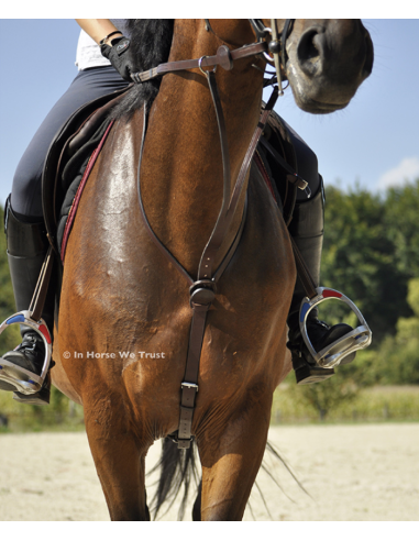 Martingale C-Cure à Anneaux - IHWT