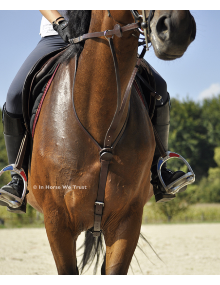 Martingale C-Cure à Anneaux - IHWT