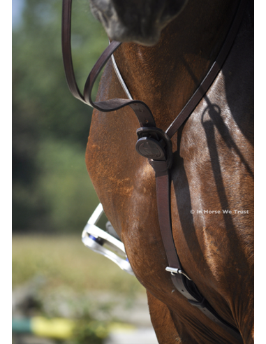 Martingale C-Cure à Anneaux - IHWT