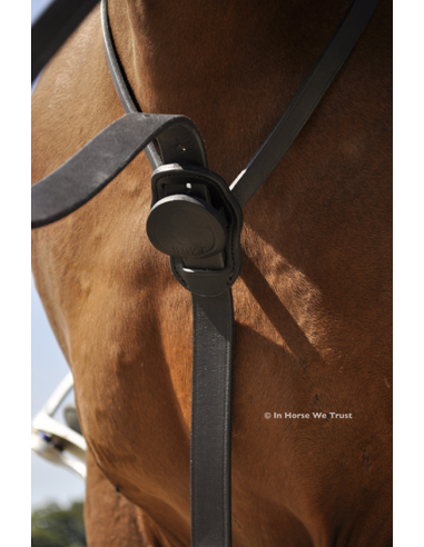 Martingale C-Cure à Anneaux - IHWT