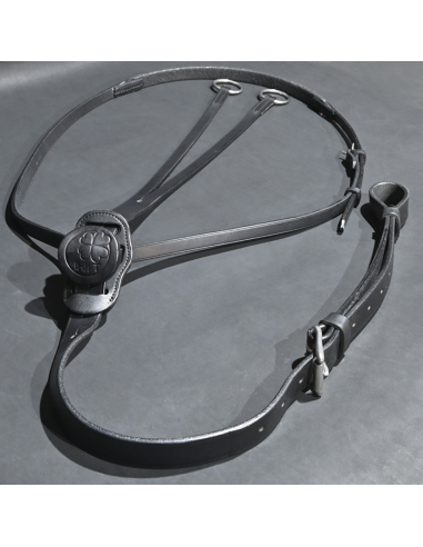 Martingale C-Cure à Anneaux - IHWT