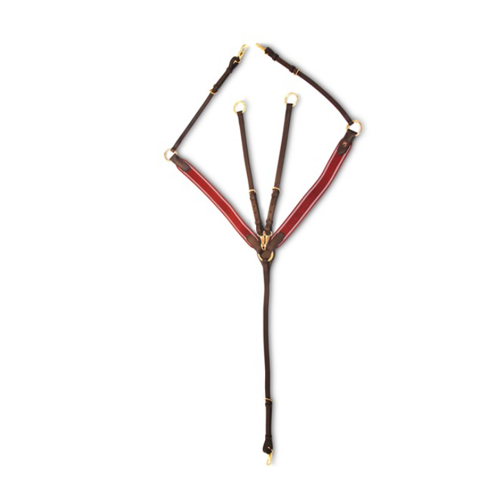 Collier de chasse élastique + Martingale - HFI