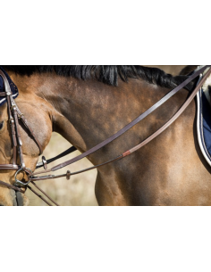 Rênes Allemandes en cuir + corde - HFI