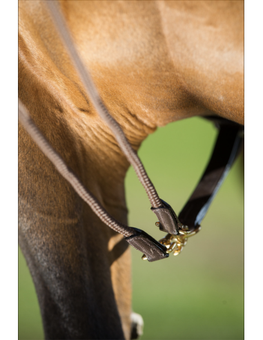 Rênes Allemandes en cuir + corde - HFI