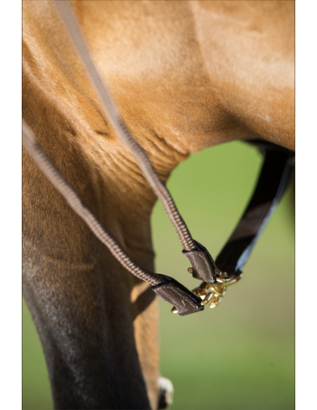 Rênes Allemandes en cuir + corde - HFI