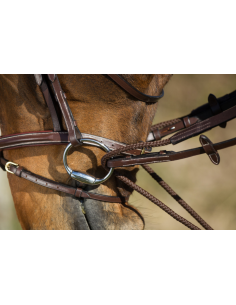 Rênes Allemandes en cuir + corde - HFI 2