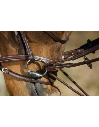 Rênes Allemandes en cuir + corde - HFI
