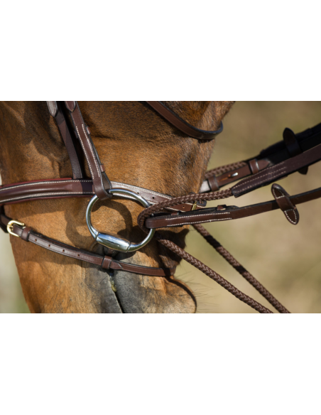 Rênes Allemandes en cuir + corde - HFI