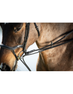Rênes Allemandes en cuir + corde - HFI 2