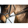 Rênes Allemandes en cuir + corde - HFI