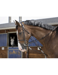 Gogue à poulies - Riding World 2